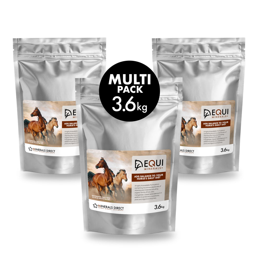 minerals for horses