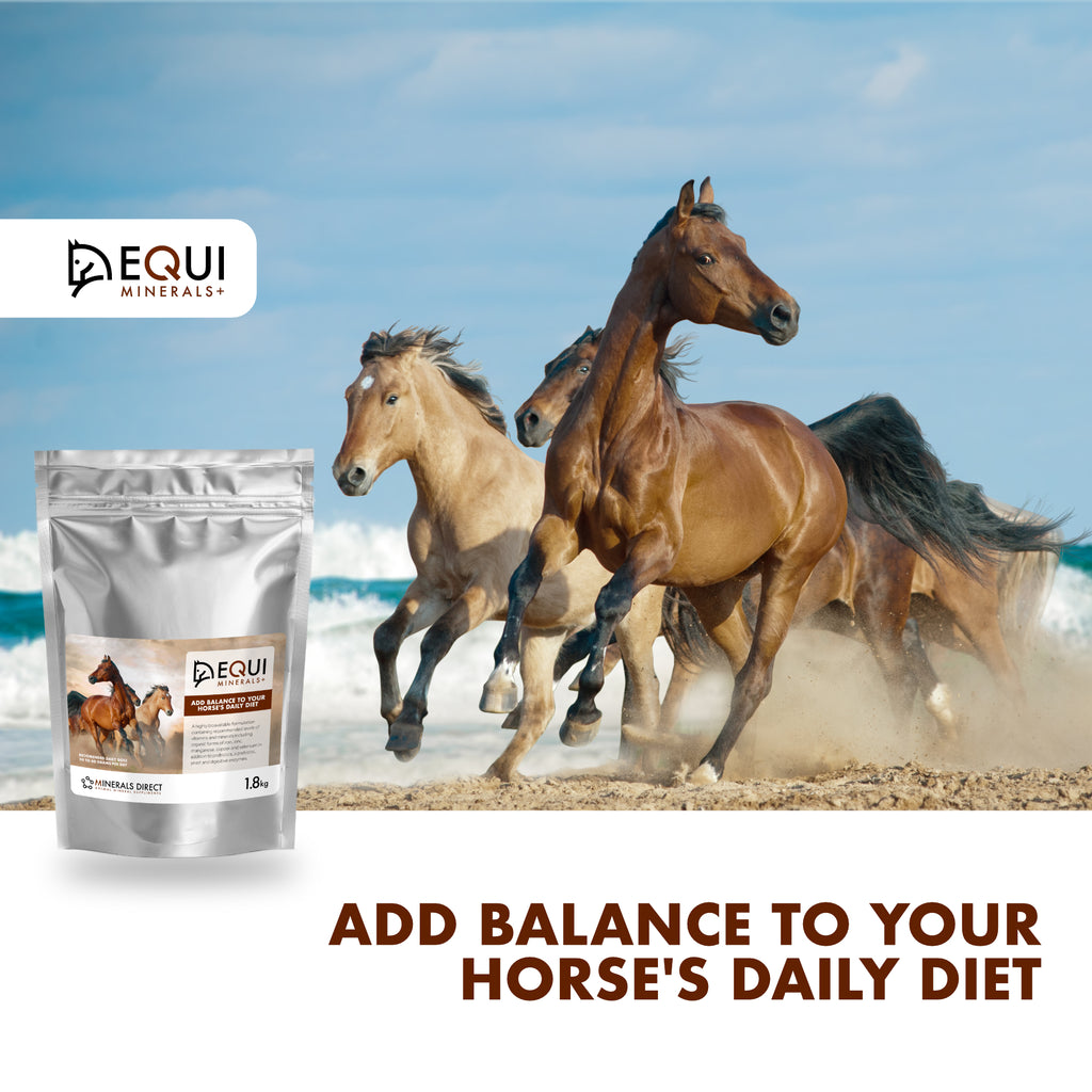 horse vitamin and mineral supplement
